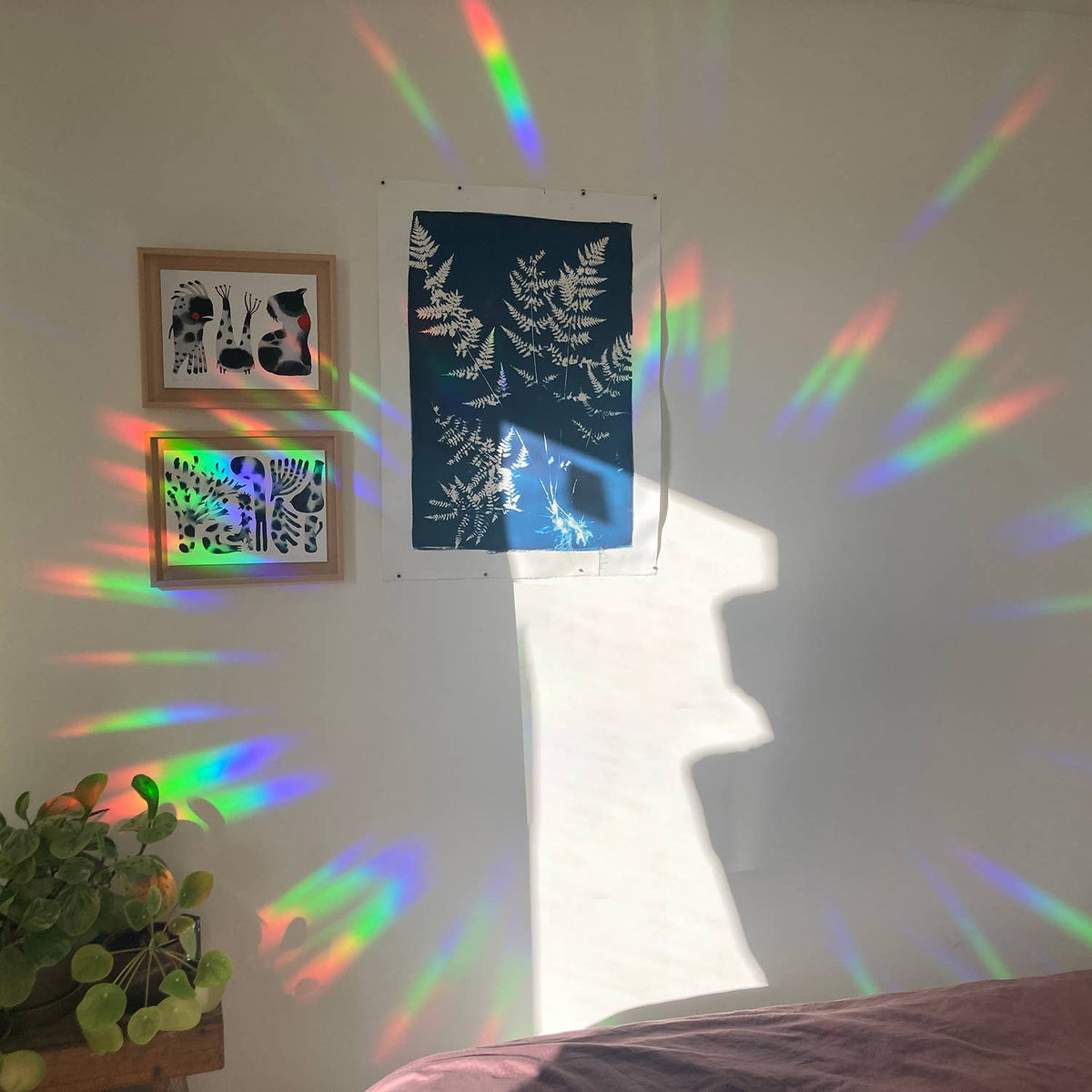Regenbogenfarbene Lichtstreifen auf einer Wand mit gerahmten Bildern neben einem Bett.